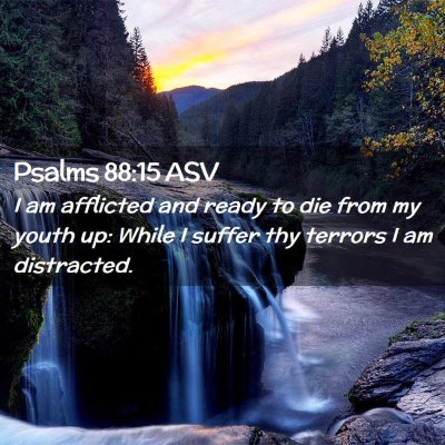 Picture 02 - Psalms 88:15 ASV - I am afflicted and ready to die from my youth up: - Bible Verse Picture