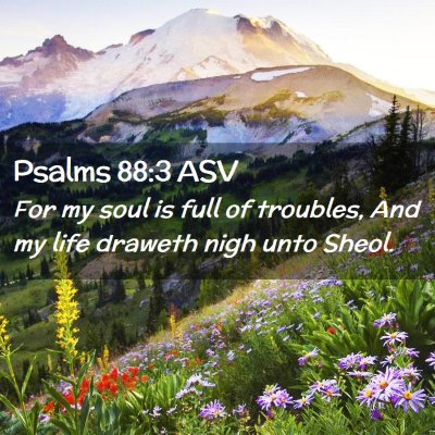 Picture 02 - Psalms 88:3 ASV - For my soul is full of troubles, And my life - Bible Verse Picture