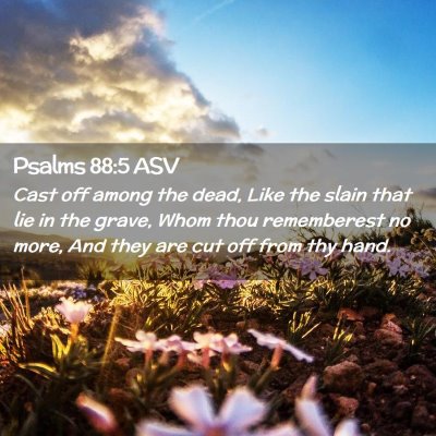 Picture 02 - Psalms 88:5 ASV - Cast off among the dead, Like the slain that lie - Bible Verse Picture