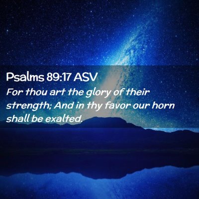 Picture 02 - Psalms 89:17 ASV - For thou art the glory of their strength; And in - Bible Verse Picture