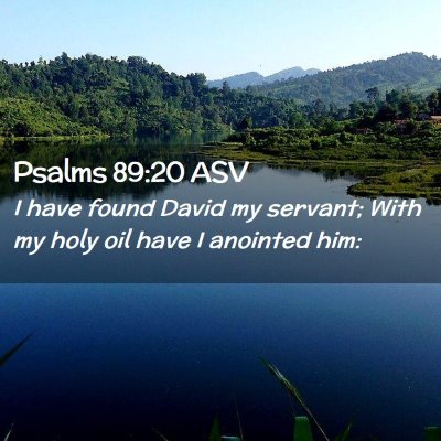 Picture 02 - Psalms 89:20 ASV - I have found David my servant; With my holy oil - Bible Verse Picture