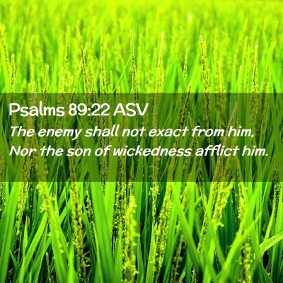 Picture 02 - Psalms 89:22 ASV - The enemy shall not exact from him, Nor the son - Bible Verse Picture