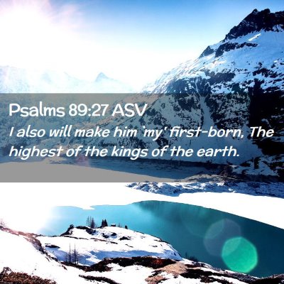 Picture 02 - Psalms 89:27 ASV - I also will make him `my' first-born, The highest - Bible Verse Picture