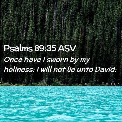 Picture 02 - Psalms 89:35 ASV - Once have I sworn by my holiness: I will not lie - Bible Verse Picture