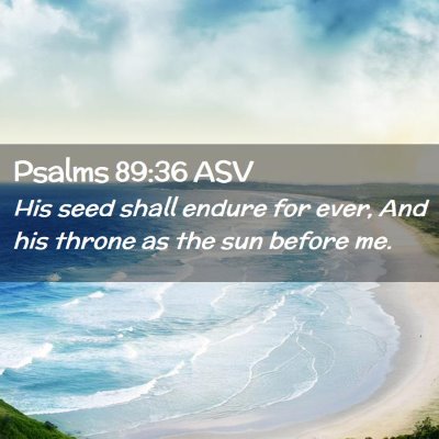 Picture 02 - Psalms 89:36 ASV - His seed shall endure for ever, And his throne as - Bible Verse Picture