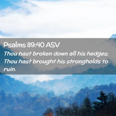Picture 02 - Psalms 89:40 ASV - Thou hast broken down all his hedges; Thou hast - Bible Verse Picture