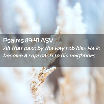 Picture 02 - Psalms 89:41 ASV - All that pass by the way rob him: He is become a - Bible Verse Picture