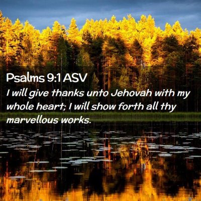 Picture 02 - Psalms 9:1 ASV - I will give thanks unto Jehovah with my whole - Bible Verse Picture