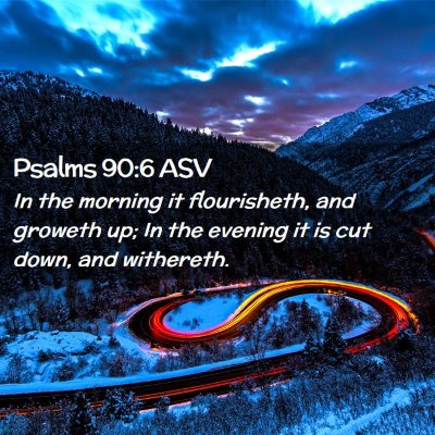 Picture 02 - Psalms 90:6 ASV - In the morning it flourisheth, and groweth up; In - Bible Verse Picture