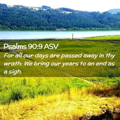 Picture 02 - Psalms 90:9 ASV - For all our days are passed away in thy wrath: We - Bible Verse Picture