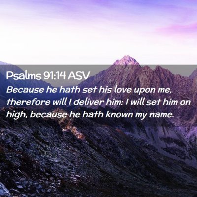 Picture 02 - Psalms 91:14 ASV - Because he hath set his love upon me, therefore - Bible Verse Picture