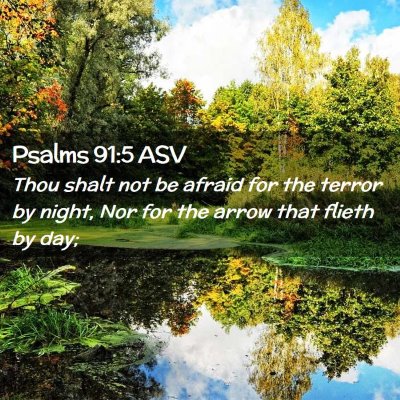 Picture 02 - Psalms 91:5 ASV - Thou shalt not be afraid for the terror by night, - Bible Verse Picture