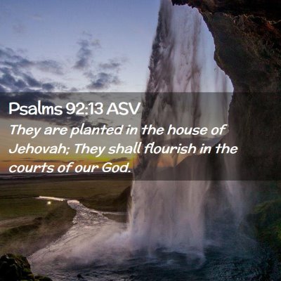 Picture 02 - Psalms 92:13 ASV - They are planted in the house of Jehovah; They - Bible Verse Picture