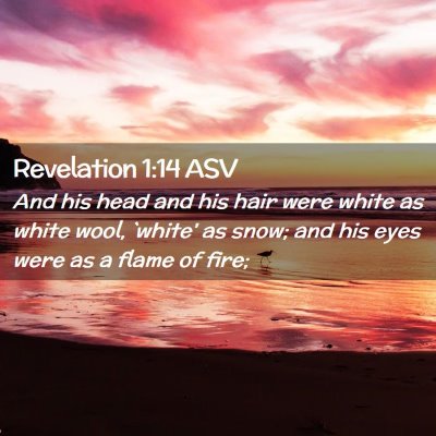 Picture 02 - Revelation 1:14 ASV - And his head and his hair were white as white - Bible Verse Picture