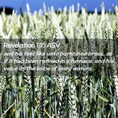 Picture 02 - Revelation 1:15 ASV - and his feet like unto burnished brass, as if it - Bible Verse Picture