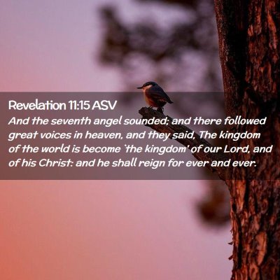 Picture 02 - Revelation 11:15 ASV - And the seventh angel sounded; and there followed - Bible Verse Picture