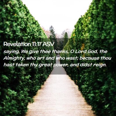 Picture 02 - Revelation 11:17 ASV - saying, We give thee thanks, O Lord God, the - Bible Verse Picture