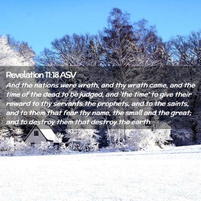 Picture 02 - Revelation 11:18 ASV - And the nations were wroth, and thy wrath came, - Bible Verse Picture