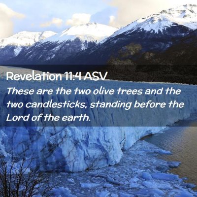 Picture 02 - Revelation 11:4 ASV - These are the two olive trees and the two - Bible Verse Picture