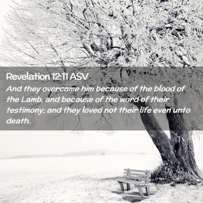 Picture 02 - Revelation 12:11 ASV - And they overcame him because of the blood of the - Bible Verse Picture