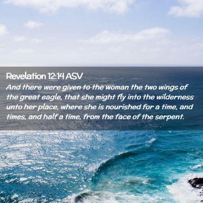 Picture 02 - Revelation 12:14 ASV - And there were given to the woman the two wings - Bible Verse Picture