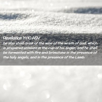 Picture 02 - Revelation 14:10 ASV - he also shall drink of the wine of the wrath of - Bible Verse Picture