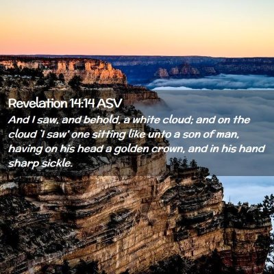 Picture 02 - Revelation 14:14 ASV - And I saw, and behold, a white cloud; and on the - Bible Verse Picture