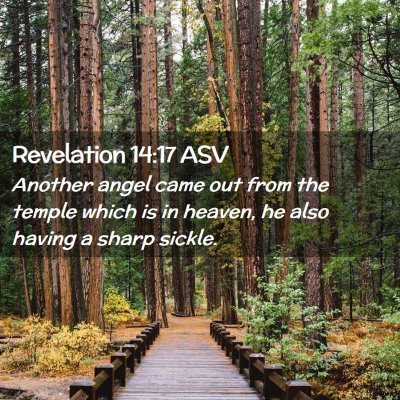 Picture 02 - Revelation 14:17 ASV - Another angel came out from the temple which is - Bible Verse Picture