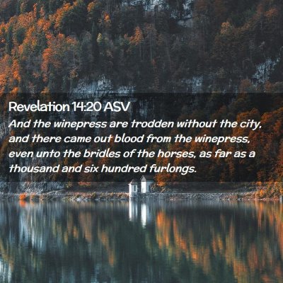 Picture 02 - Revelation 14:20 ASV - And the winepress are trodden without the city, - Bible Verse Picture