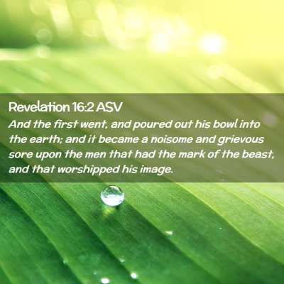 Picture 02 - Revelation 16:2 ASV - And the first went, and poured out his bowl into - Bible Verse Picture