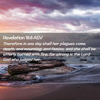 Picture 02 - Revelation 18:8 ASV - Therefore in one day shall her plagues come, - Bible Verse Picture