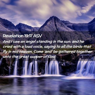 Picture 02 - Revelation 19:17 ASV - And I saw an angel standing in the sun; and he - Bible Verse Picture