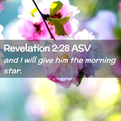 Picture 02 - Revelation 2:28 ASV - and I will give him the morning - Bible Verse Picture