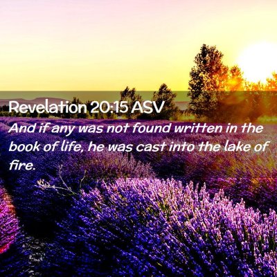Picture 02 - Revelation 20:15 ASV - And if any was not found written in the book of - Bible Verse Picture
