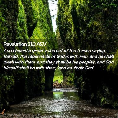 Picture 02 - Revelation 21:3 ASV - And I heard a great voice out of the throne - Bible Verse Picture