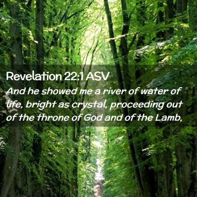 Picture 02 - Revelation 22:1 ASV - And he showed me a river of water of life, bright - Bible Verse Picture