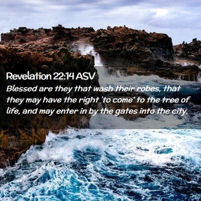 Picture 02 - Revelation 22:14 ASV - Blessed are they that wash their robes, that they - Bible Verse Picture