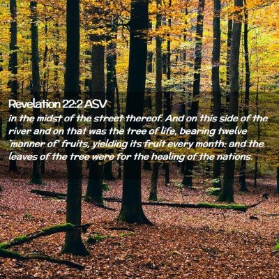 Picture 02 - Revelation 22:2 ASV - in the midst of the street thereof. And on this - Bible Verse Picture