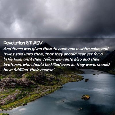 Picture 02 - Revelation 6:11 ASV - And there was given them to each one a white - Bible Verse Picture
