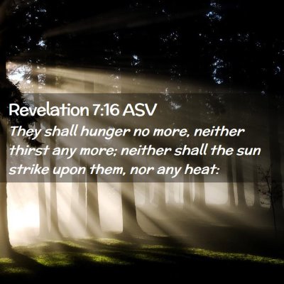 Picture 02 - Revelation 7:16 ASV - They shall hunger no more, neither thirst any - Bible Verse Picture