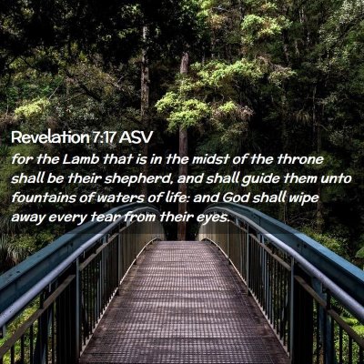 Picture 02 - Revelation 7:17 ASV - for the Lamb that is in the midst of the throne - Bible Verse Picture