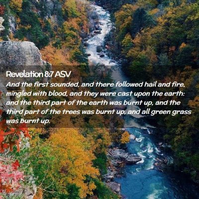 Picture 02 - Revelation 8:7 ASV - And the first sounded, and there followed hail - Bible Verse Picture