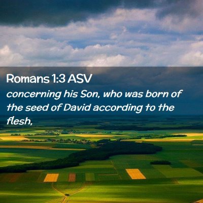 Picture 02 - Romans 1:3 ASV - concerning his Son, who was born of the seed of - Bible Verse Picture