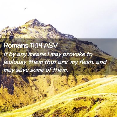 Picture 02 - Romans 11:14 ASV - if by any means I may provoke to jealousy `them - Bible Verse Picture