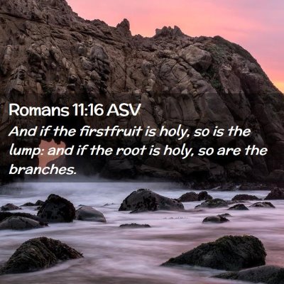 Picture 02 - Romans 11:16 ASV - And if the firstfruit is holy, so is the lump: - Bible Verse Picture