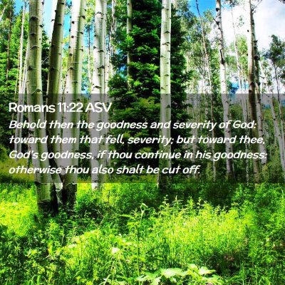 Picture 02 - Romans 11:22 ASV - Behold then the goodness and severity of God: - Bible Verse Picture