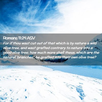Picture 02 - Romans 11:24 ASV - For if thou wast cut out of that which is by - Bible Verse Picture