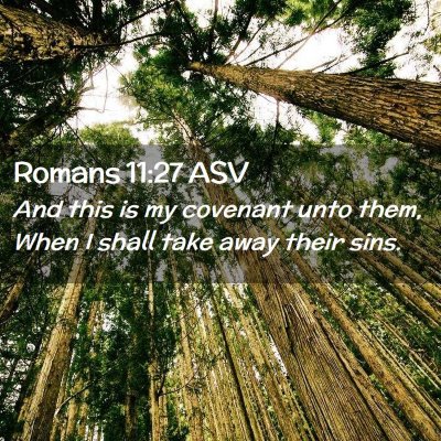 Picture 02 - Romans 11:27 ASV - And this is my covenant unto them, When I shall - Bible Verse Picture