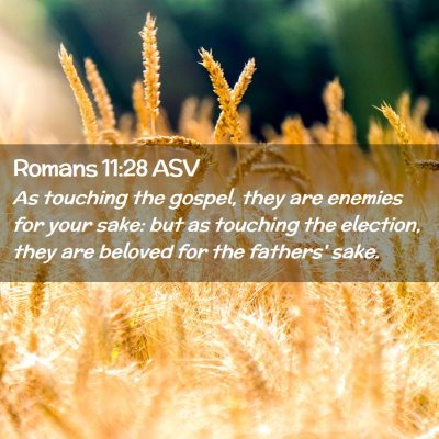 Picture 02 - Romans 11:28 ASV - As touching the gospel, they are enemies for your - Bible Verse Picture