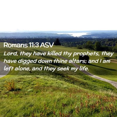 Picture 02 - Romans 11:3 ASV - Lord, they have killed thy prophets, they have - Bible Verse Picture